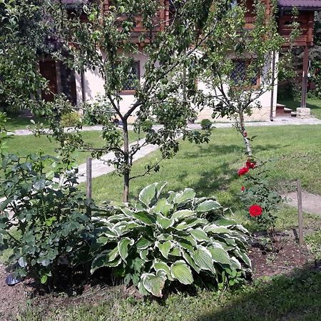 У Тарнавських Mykulytschyn Exterior foto